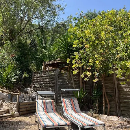 Casa Da Nazare Lägenhet *