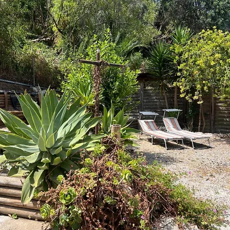 Casa Da Nazare Lägenhet Portinho da Arrábida